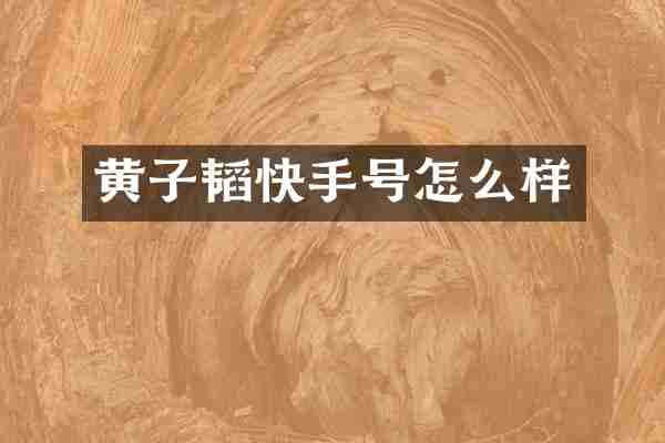 黄子韬快手号怎么样