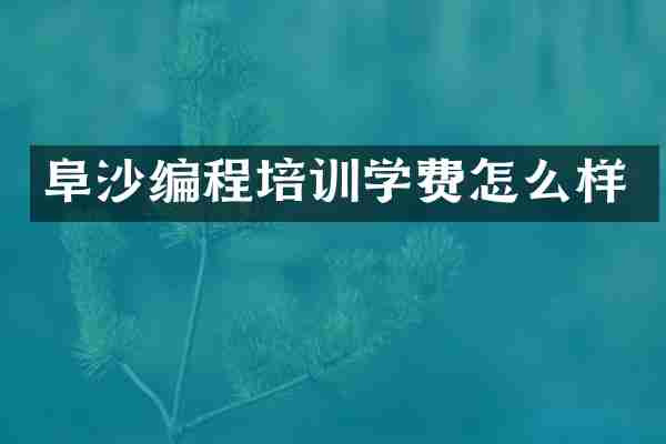 阜沙编程培训学费怎么样