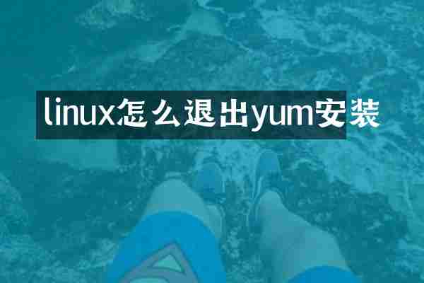 linux怎么退出yum安装
