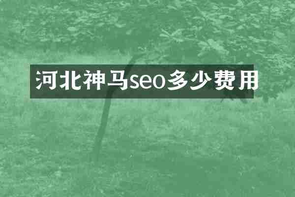 河北神马seo多少费用