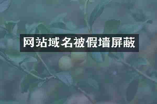 网站域名被假墙屏蔽