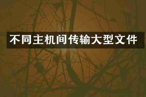 不同主机间传输大型文件