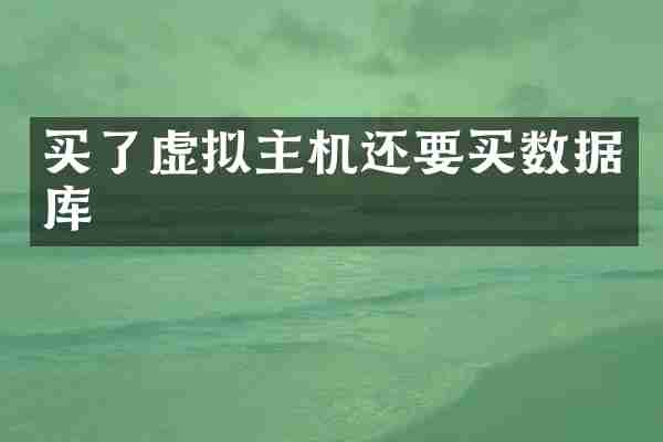 买了虚拟主机还要买数据库