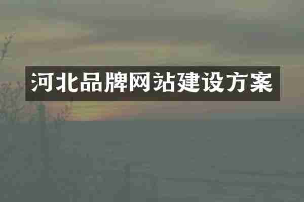 河北品牌网站建设方案