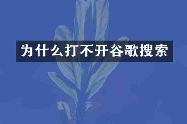 为什么打不开谷歌搜索