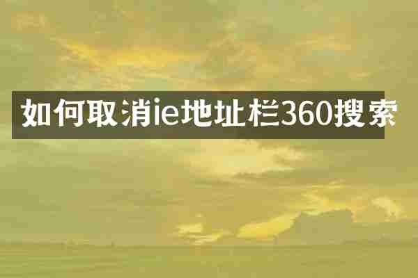 如何取消ie地址栏360搜索