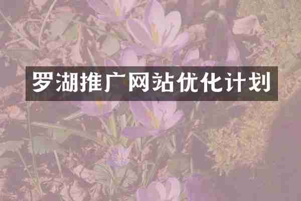 罗湖推广网站优化计划