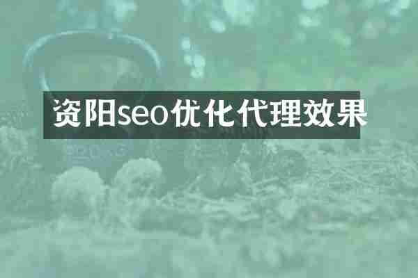 资阳seo优化代理效果
