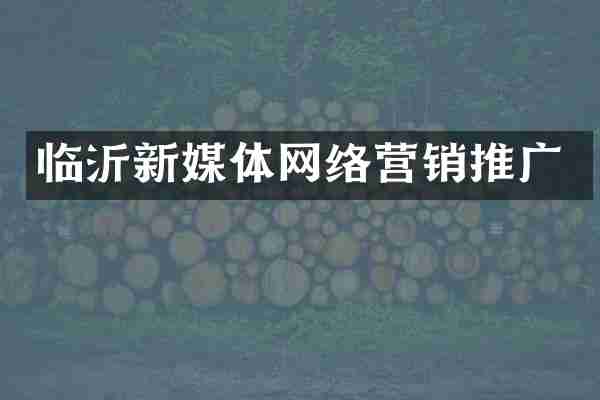 临沂新媒体网络营销推广