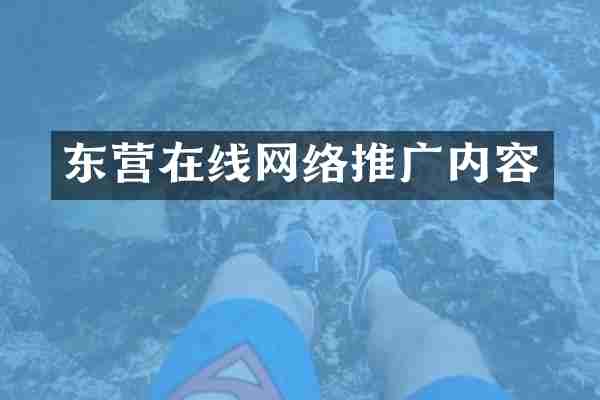 东营在线网络推广内容