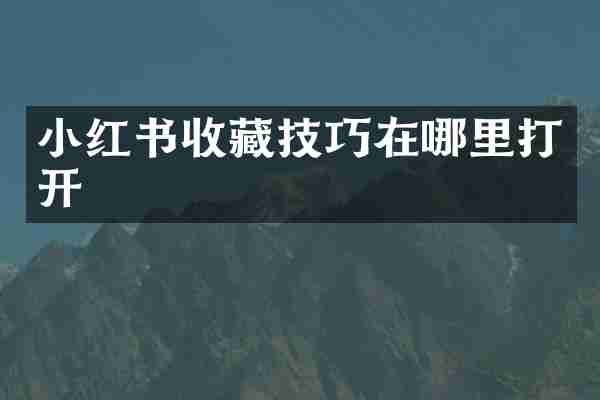 小红书收藏技巧在哪里打开