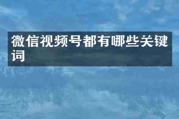微信视频号都有哪些关键词