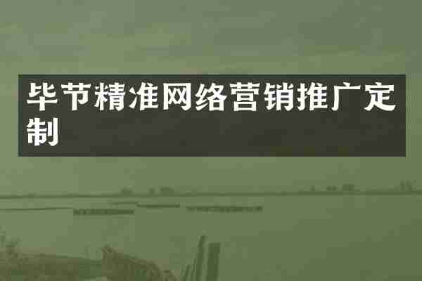 毕节精准网络营销推广定制