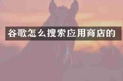 谷歌怎么搜索应用商店的