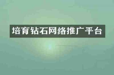 培育钻石网络推广平台