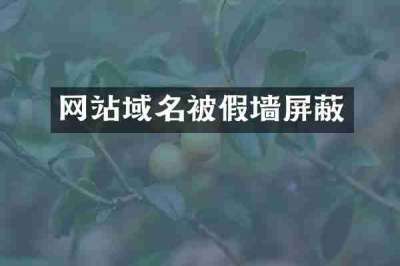 网站域名被假墙屏蔽