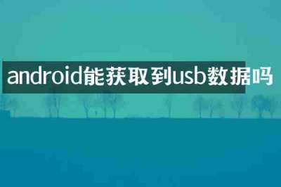 android能获取到usb数据吗