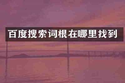 百度搜索词根在哪里找到