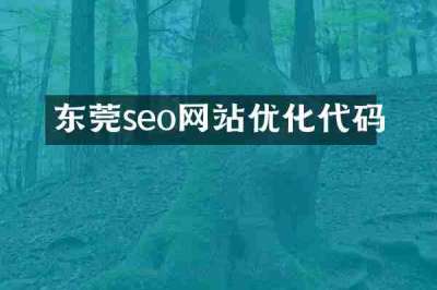 东莞seo网站优化代码