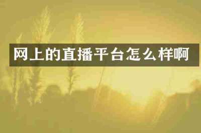 网上的直播平台怎么样啊