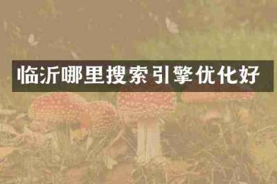临沂哪里搜索引擎优化好