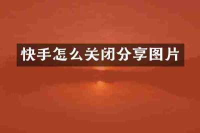 快手怎么关闭分享图片