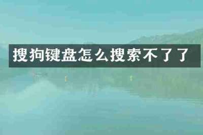 搜狗键盘怎么搜索不了了