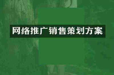 网络推广销售策划方案