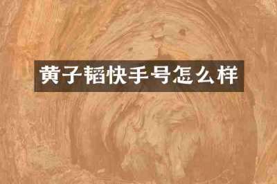 黄子韬快手号怎么样