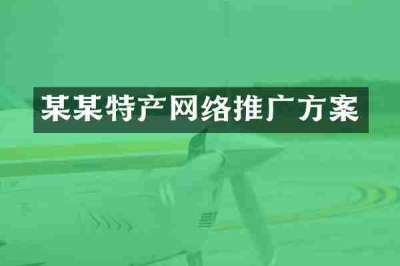 某某特产网络推广方案