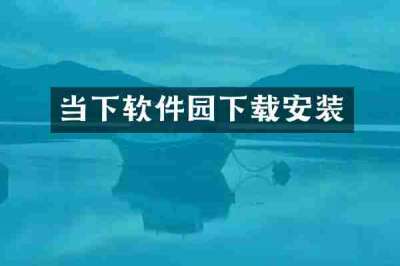 当下软件园下载安装