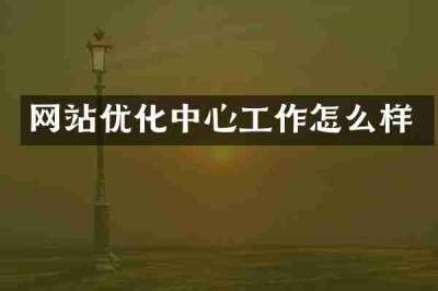 网站优化中心工作怎么样