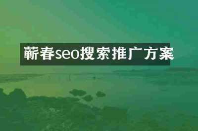 蕲春seo搜索推广方案