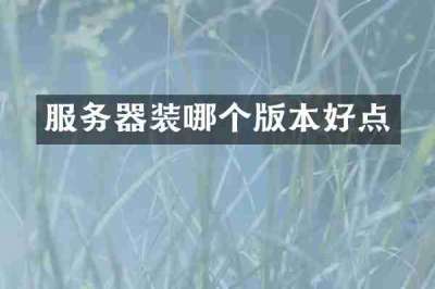 服务器装哪个版本好点