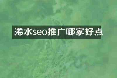 浠水seo推广哪家好点
