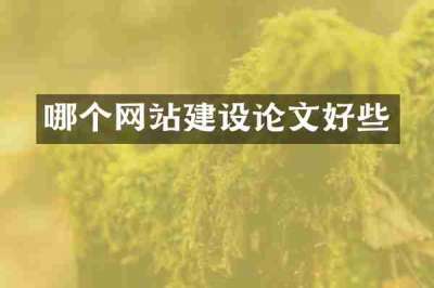 哪个网站建设论文好些