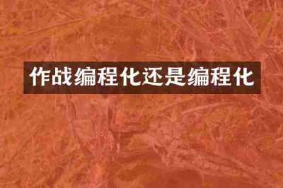 作战编程化还是编程化