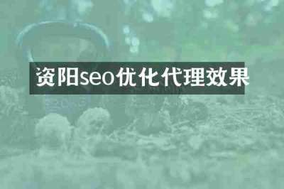 资阳seo优化代理效果
