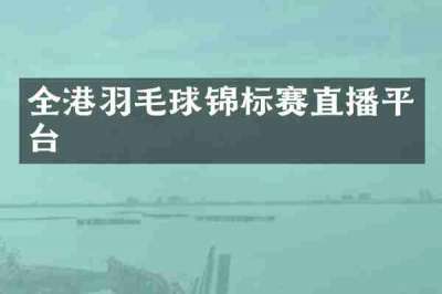 全港羽毛球锦标赛直播平台