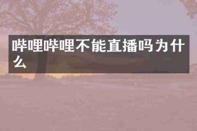 哔哩哔哩不能直播吗为什么