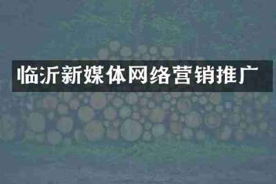 临沂新媒体网络营销推广