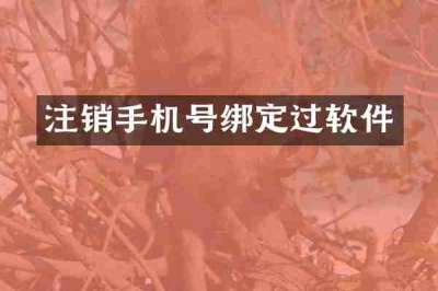 注销手机号绑定过软件
