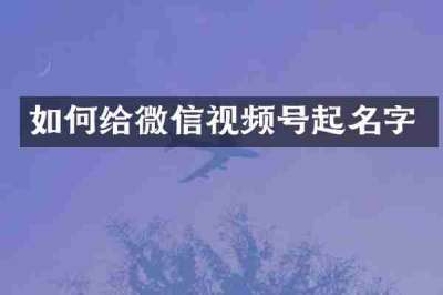 如何给微信视频号起名字