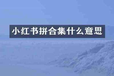 小红书拼合集什么意思