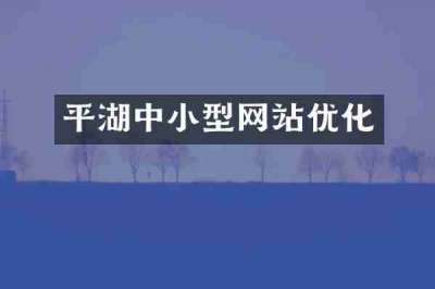 平湖中小型网站优化