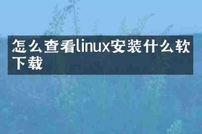 怎么查看linux安装什么软件下载