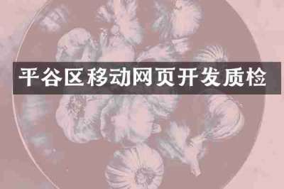 平谷区移动网页开发质检