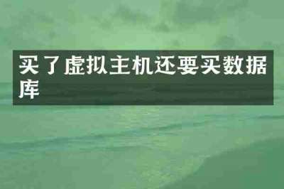 买了虚拟主机还要买数据库