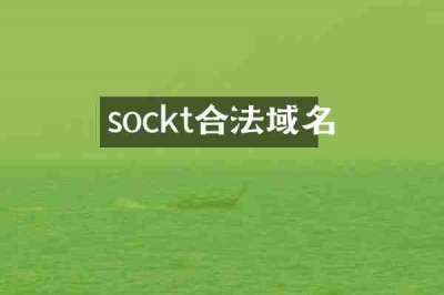 sockt合法域名