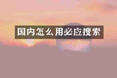 国内怎么用必应搜索
